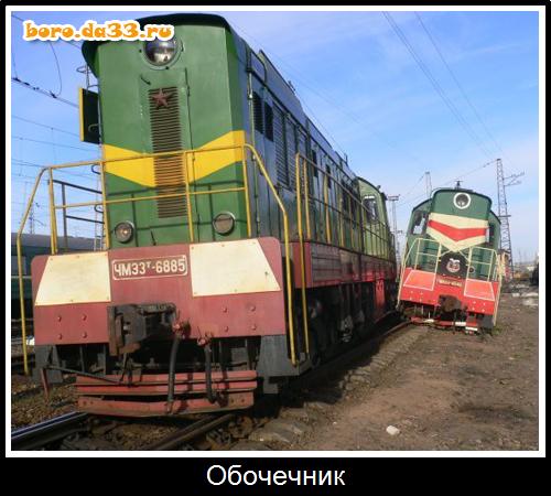 Картинки по запросу обочечник