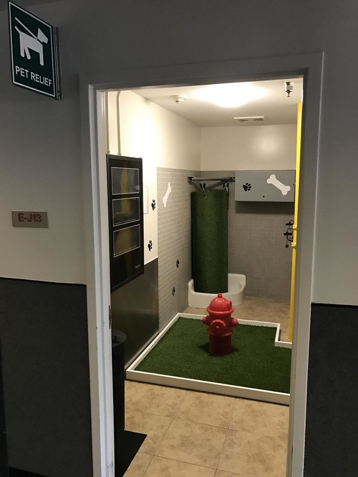 Pet Pooping Station At The Airport