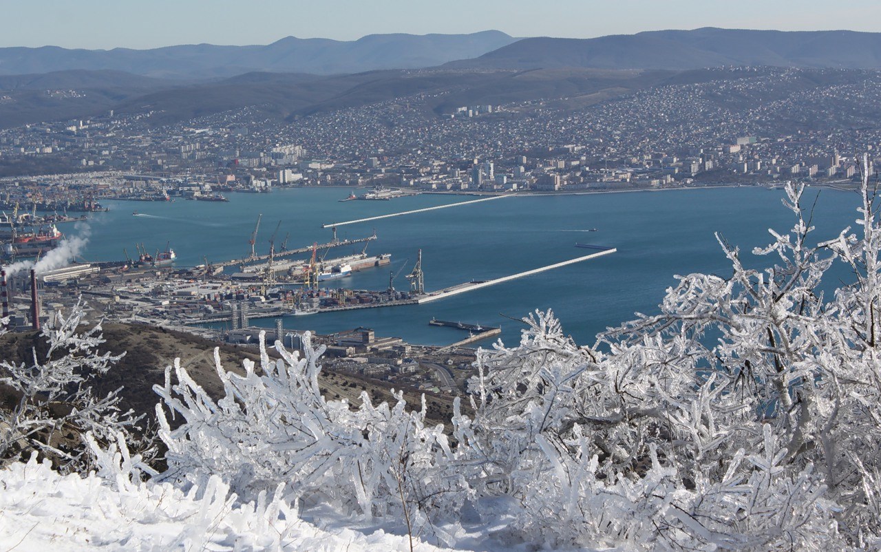 Новороссийск картинки, про бармена