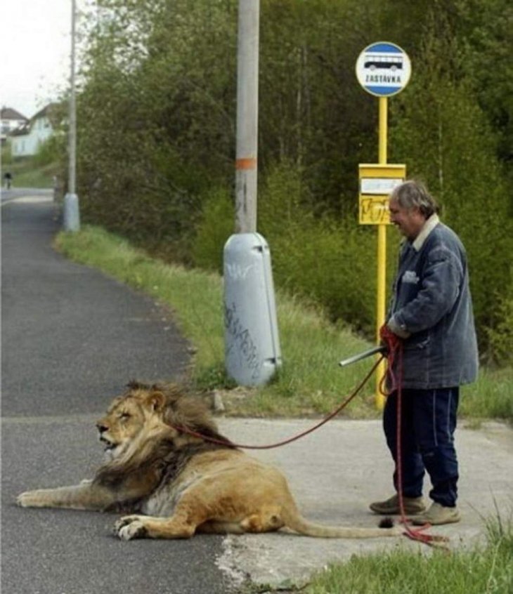 Прикольные фотографии - воскресный выпуск 