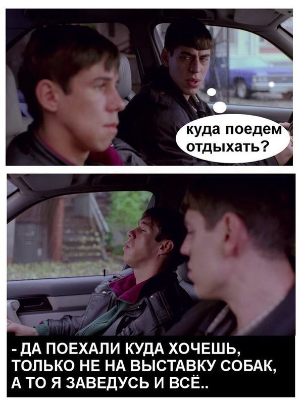 Немного картинок с надписями картинки для хорошего настроения, смешные картинки, смешные подписи к картинкам