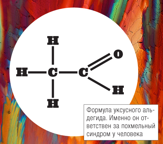 VS06_087_VoprosOtvet.jpg