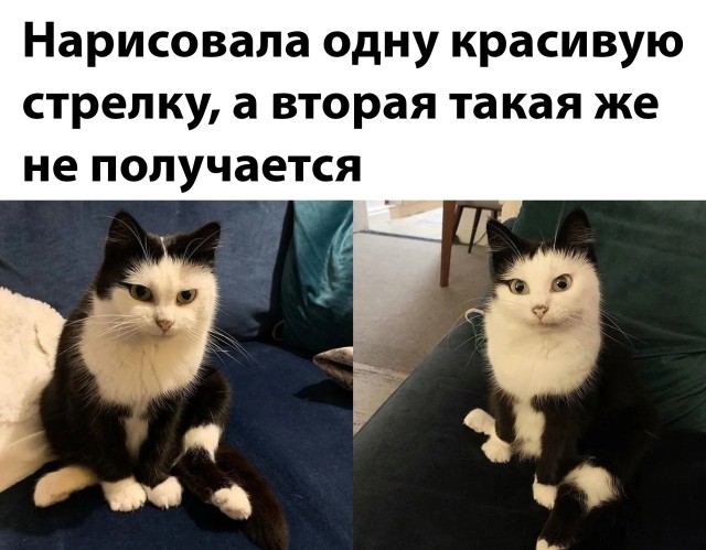 Подборка прикольных картинок  приколы,смешные картинки,юмор