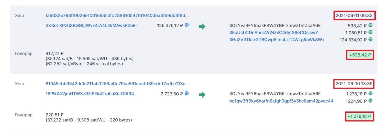 Сторонники Навального перестали финансировать ФБК даже в биткоинах