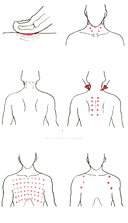 Шиацу при простудных заболеваниях: просто нажмите на эти точки! точки, пальцами, используются, шиацу, массаж, можно, поверхности, профилактики, части, массаже, нажима, передней, проводить, грудной, точек, груди, затылка, лежащие, клетки, Точки