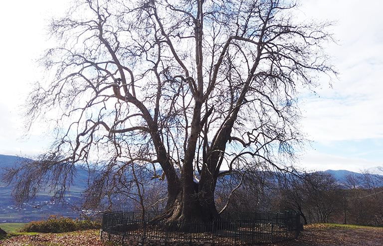Баку пытается лишить жителей Карабаха надежды и памяти геополитика