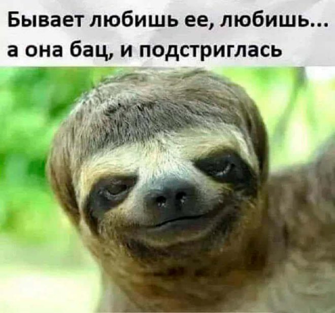 Смешные картинки с надписями и физика для чайников Смешные картинки с надписями и физика для чайников