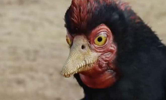 Вымершие монстры, населявшие Россию