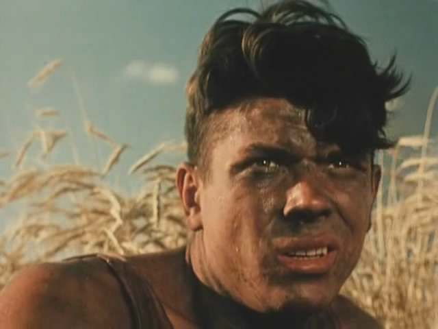 Он, она и водка Он, она и водка актер,актриса,кино и тв,скандал,фильм,шоу,шоубиz,шоубиз,Эдуард Бредун