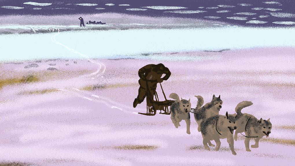 Война на мысе Стерлегова. Как провалился немецкий десант в Сибири Война на мысе Стерлегова. Как провалился немецкий десант в Сибири история