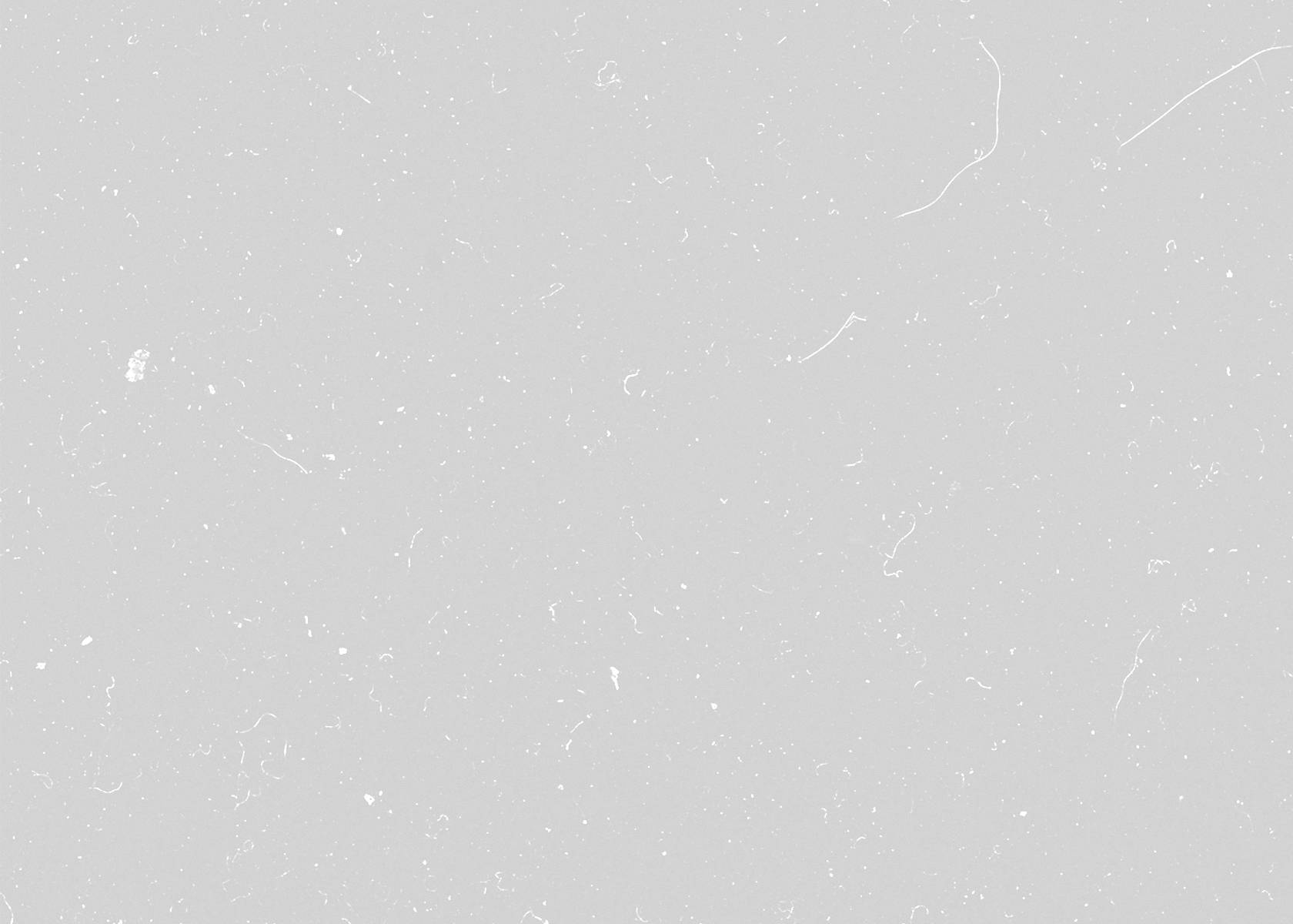 Битва за Алеппо: как армия Сирии освобождала «столицу исламской культуры» Битва за Алеппо: как армия Сирии освобождала «столицу исламской культуры» Весь мир