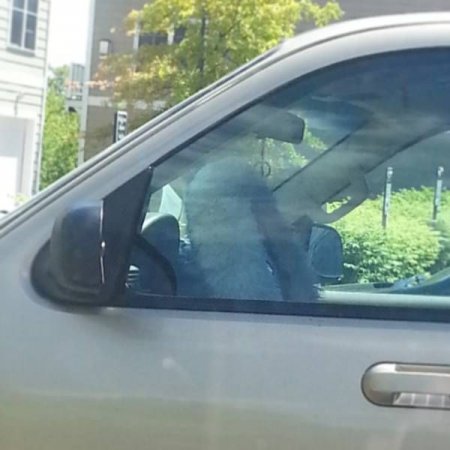 Прикольная фотоподборка (55 фото)