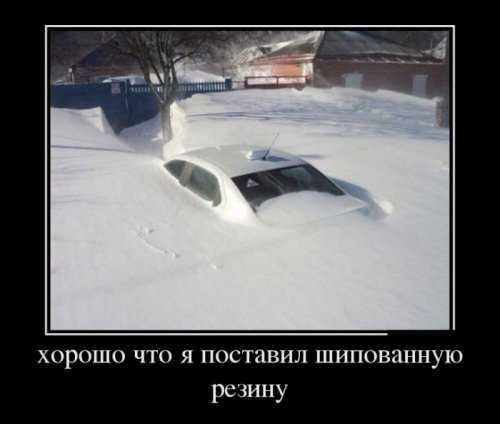 Всем улыбчивого дня и позитивного настроя! веселые картинки