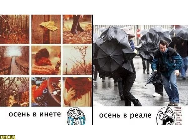 Осенние приколы