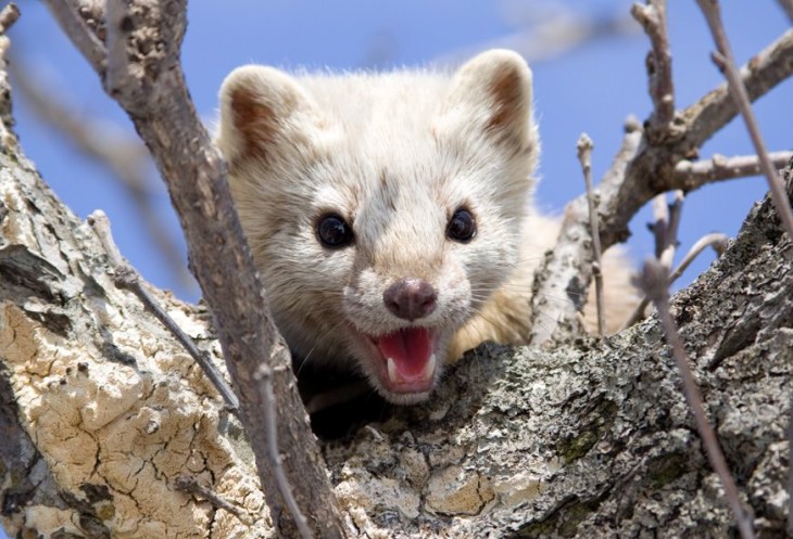 Курильские острова: романтика для истинных путешественников Курильские острова: романтика для истинных путешественников авиатур