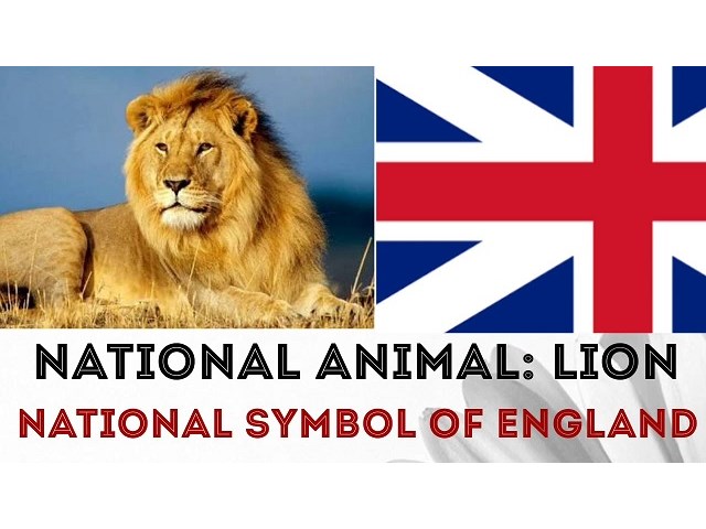 Размышления о том, зачем Британия хочет, «чтобы помнили…»