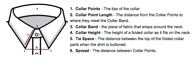 Anatomy-of-a-Collar (628x219, 62Kb)