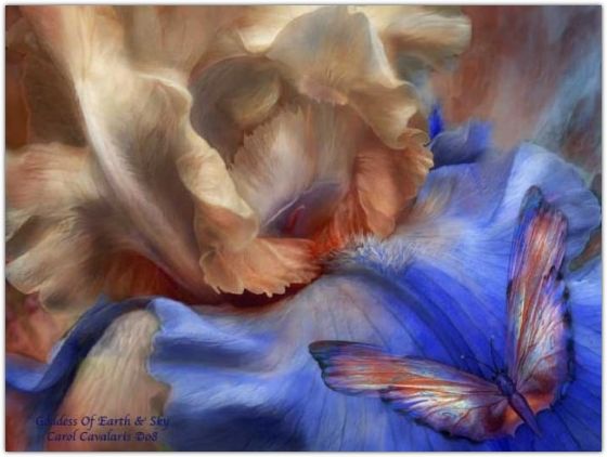 �������� �������� ����� ���������