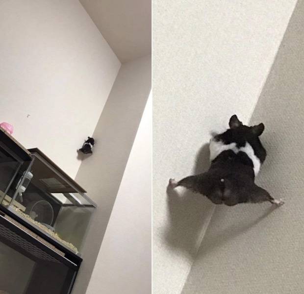 Подборка прикольных картинок Подборка прикольных картинок приколы,смешные картинки,юмор