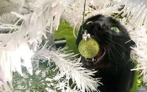 Прикольные моменты Прикольные моменты