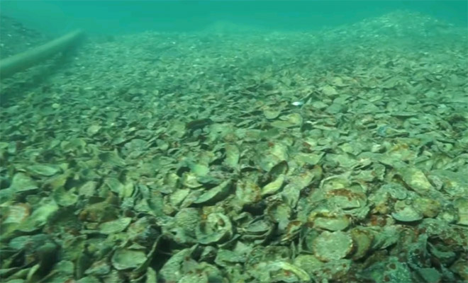 На дне Черного моря раньше был город. 6 тысяч лет назад море поднялось и цивилизация ушла по воду Черного, город, давно, какой, поселение, уровень, период, центром, полторы, активным, Фракии, древней, расцвета, всего, векаСкорее, обитаемо, середины, примерно, неолита, эпохой