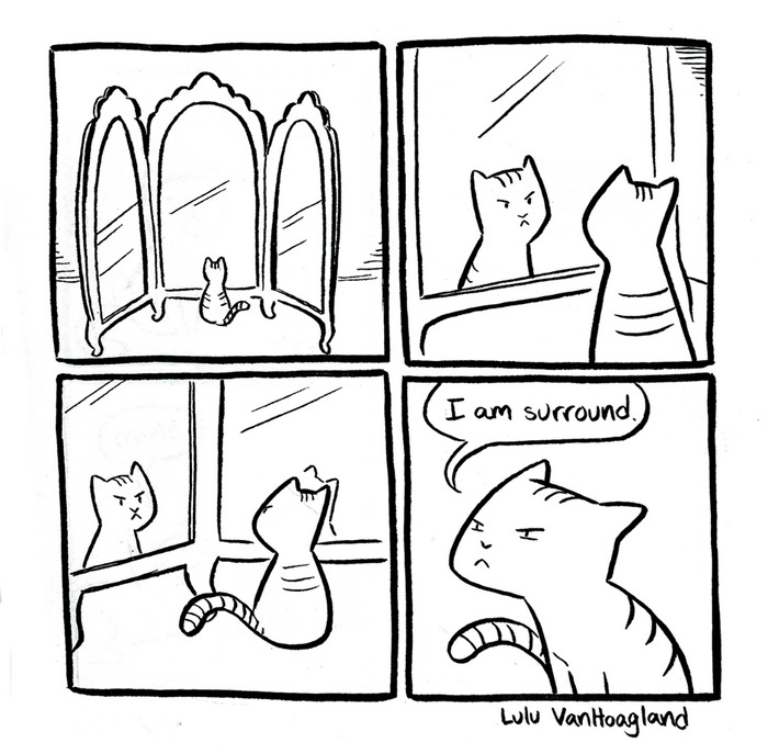 Cat Comics