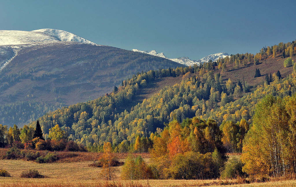 Осень на Алтае