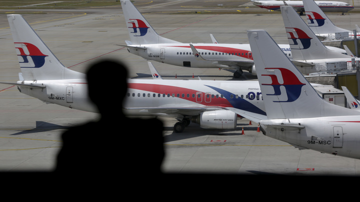 Таинственный свидетель превратил дело о крушении MH17 в откровенный балаган