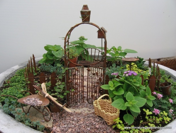 Практические идеи миниатюрных садов вдохновляемся,миниатюра