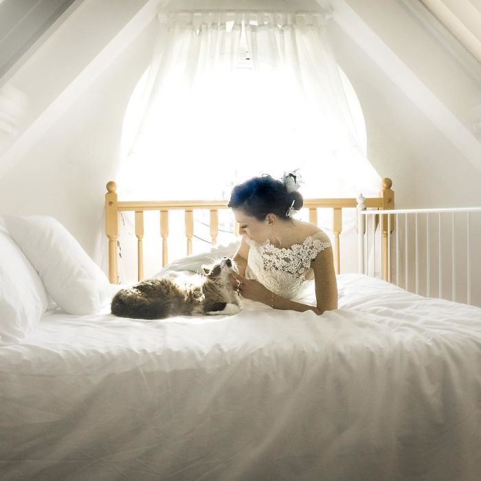 I Do Post-Marriage Private Shooting With Cats