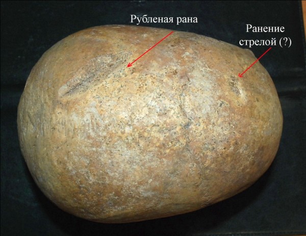 А было-ли нашествие татаро-монголов на Русь? история,интересное,былые времена