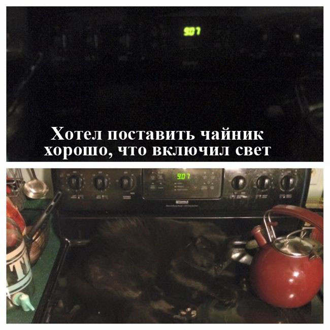 Картинки с надписями мем, прикол, юмор