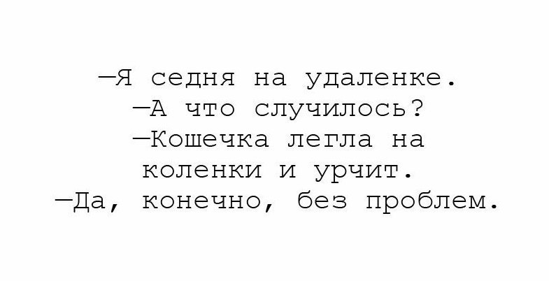 Картинки и фото приколы с надписями для хорошего настроения 