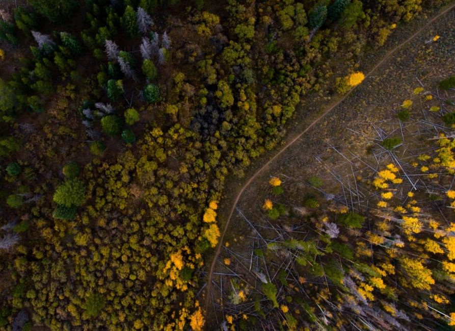 Специалисты «Мособлпожспас» отслеживают пожары в Подмосковье с самолетов