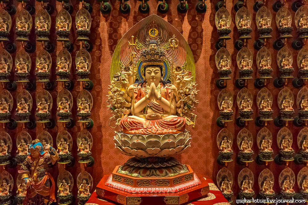 Код на будду. Храм зуба Будды Шри Ланка. Храм 1000 Будд Сингапур. Акашагарбха Бодхисаттва. Канди статуя Будды Шри Ланка.