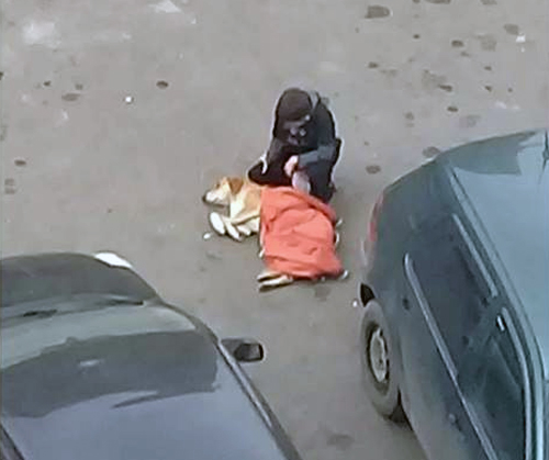 Мальчик, укрывающий бездомную собаку в Тбилиси своей курткой, взорвал соцсеть