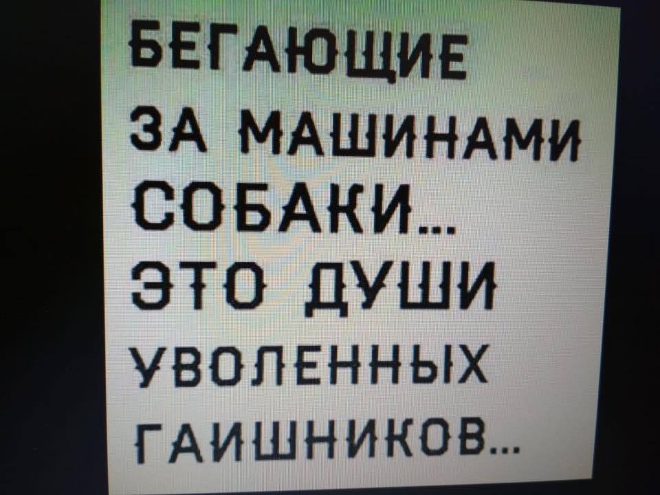 Он экономил на всем, даже учился на чужих ошибках анекдоты