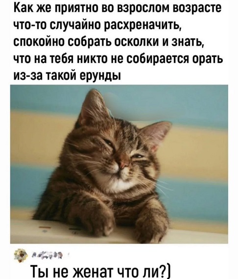 Хочу, чтобы с работы меня забрала мама и отвезла домой на санках Хочу, чтобы с работы меня забрала мама и отвезла домой на санках когда, Вовочка, спать, очень, анекдот, одного, Никулин, принес, мечтает, рассказывали, вообще, скромно, художнику, выслушатьНеразделённая, знает, хирургХудожник, носит, потому, готов, видитКритик