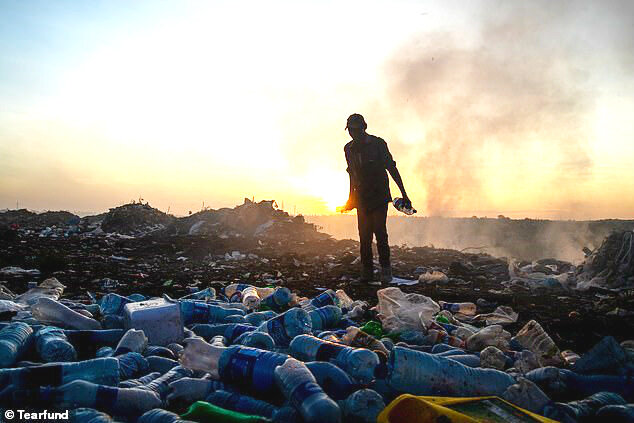 Кто ответственен за пластиковое загрязнение планеты? Ответ найден