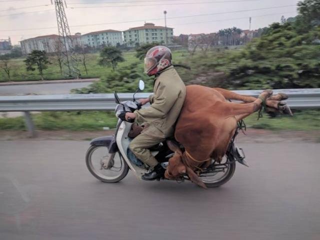 Перевозки на которых сэкономили Перевозки на которых сэкономили картинки