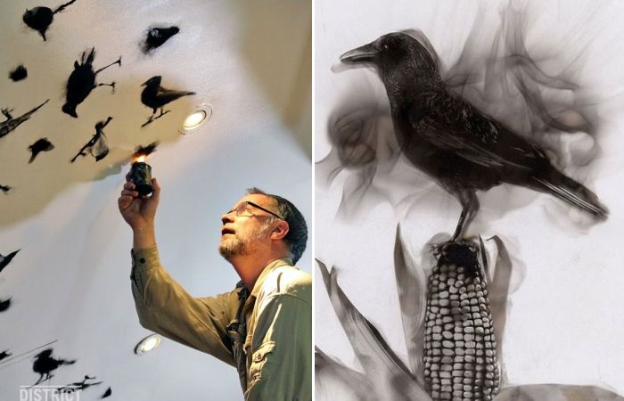 Стивен Спазук и его огненные птицы.