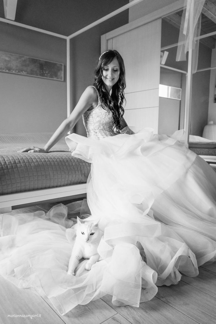 I Do Post-Marriage Private Shooting With Cats