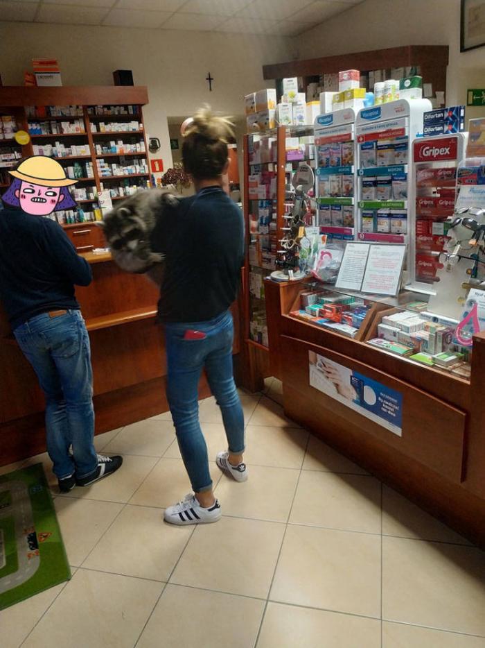 Подборка картинок и фотографий с надписями из сети со смыслом Подборка картинок и фотографий с надписями из сети со смыслом картинки с надписями,приколы,смешные комментарии,шикарные фотографии,юмор