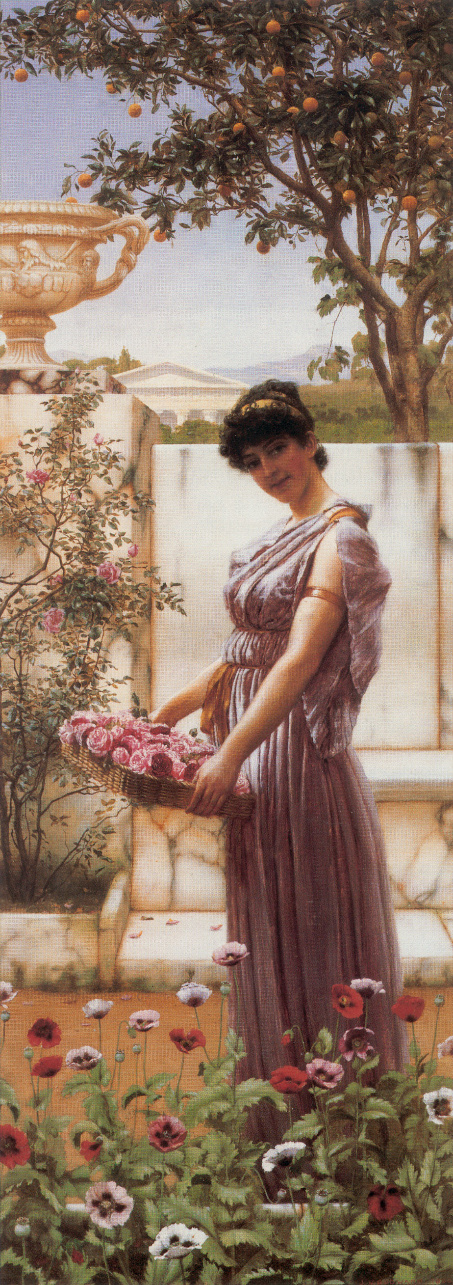 1890_Цветы от Венеры