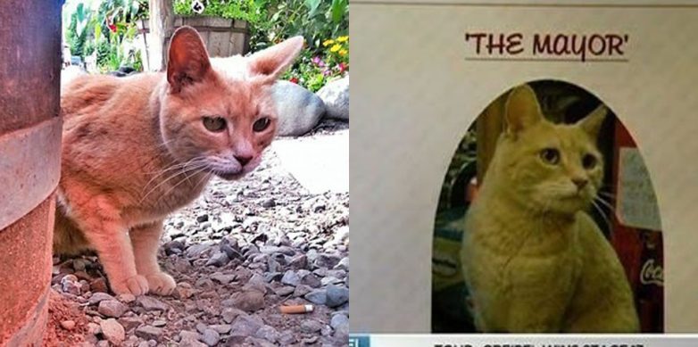 Безумные факты о США, в которые трудно поверить Безумные факты о США, в которые трудно поверить