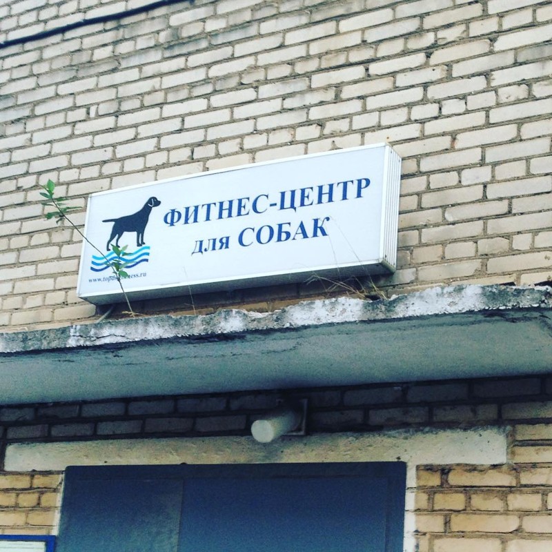 Разбавим прочими непотребствами прикол, так много вопросов, что здесь происходит?