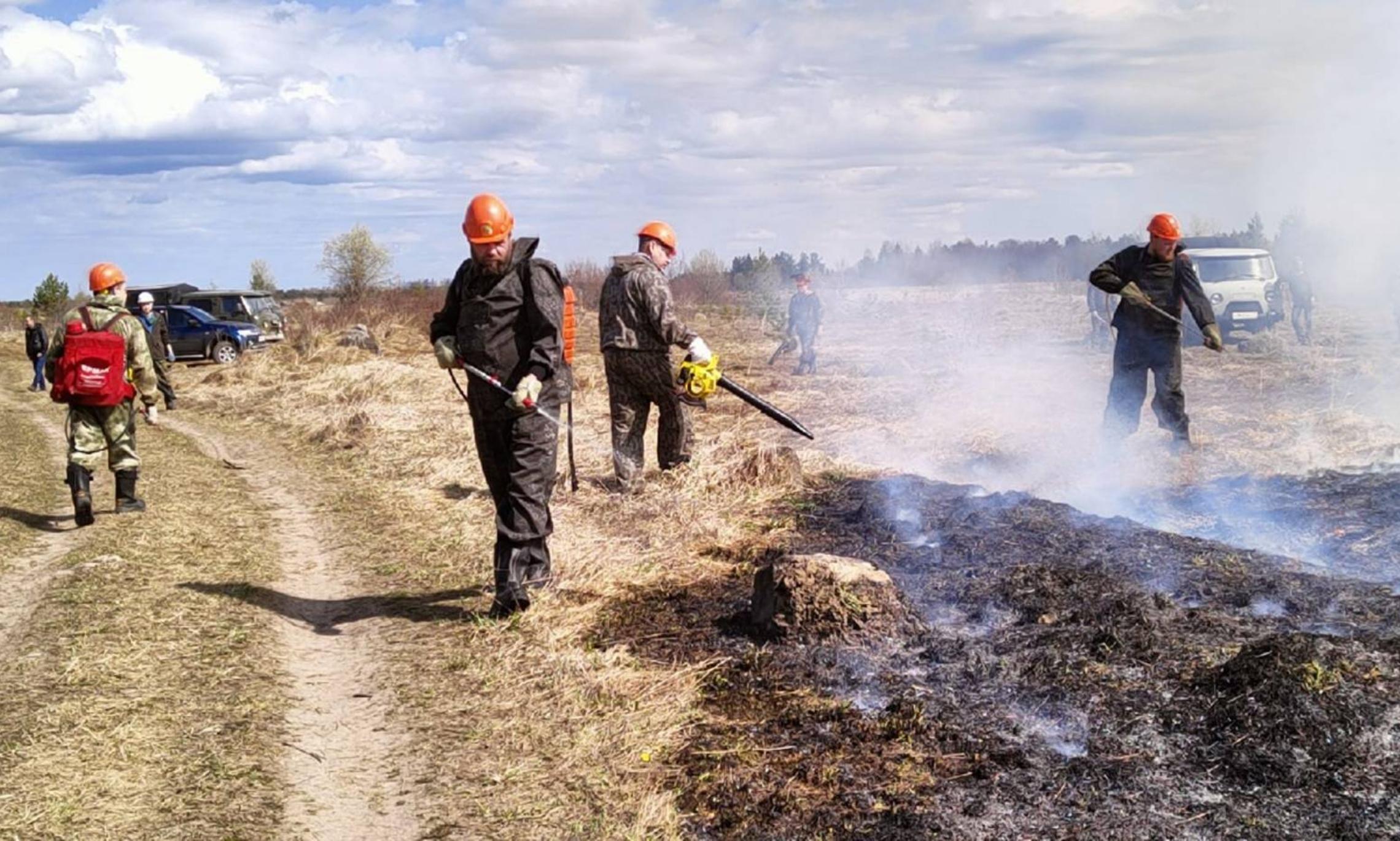 В Архангельской области проводят контролируемый профилактический отжиг сухой травы