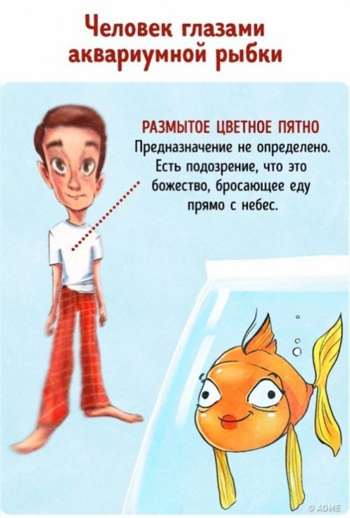 Человек глазами животных (9 фото)