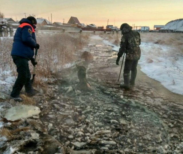 Спасение лошади и жеребёнка спасение, лошади