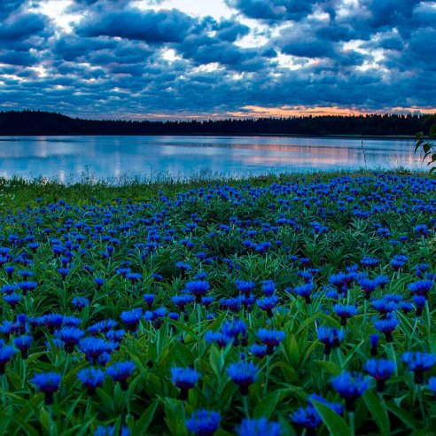 Классные и красивые фотографии для хорошего настроения 